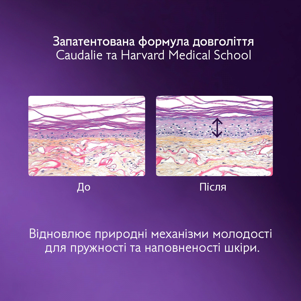 Premier Cru Cыворотка для глобального антивозрастного ухода-Новая формула