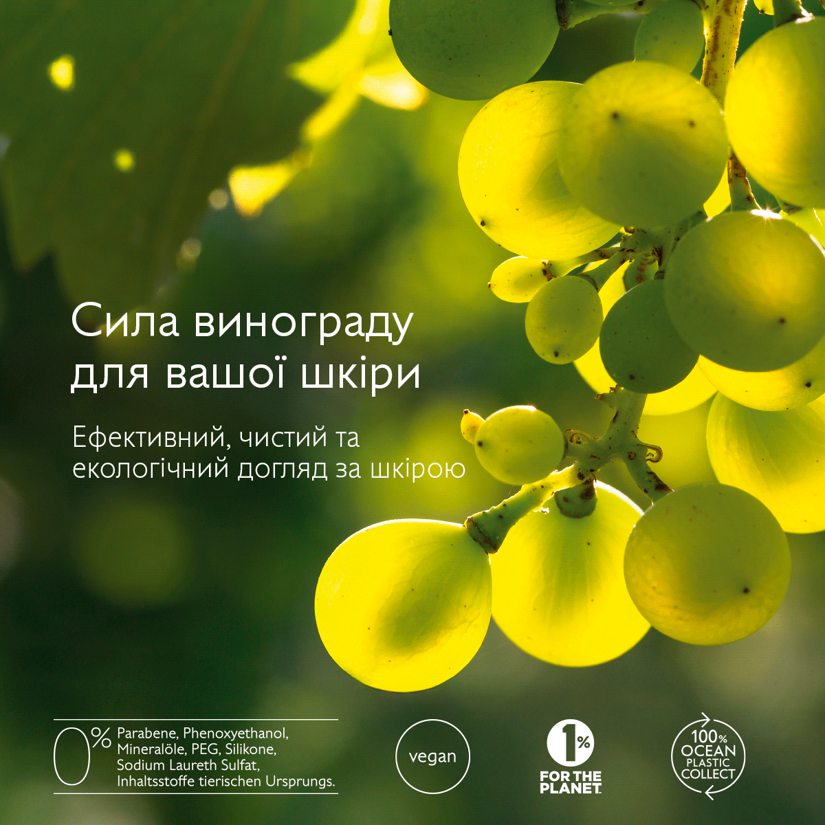 Premier Cru Cыворотка для глобального антивозрастного ухода-Новая формула