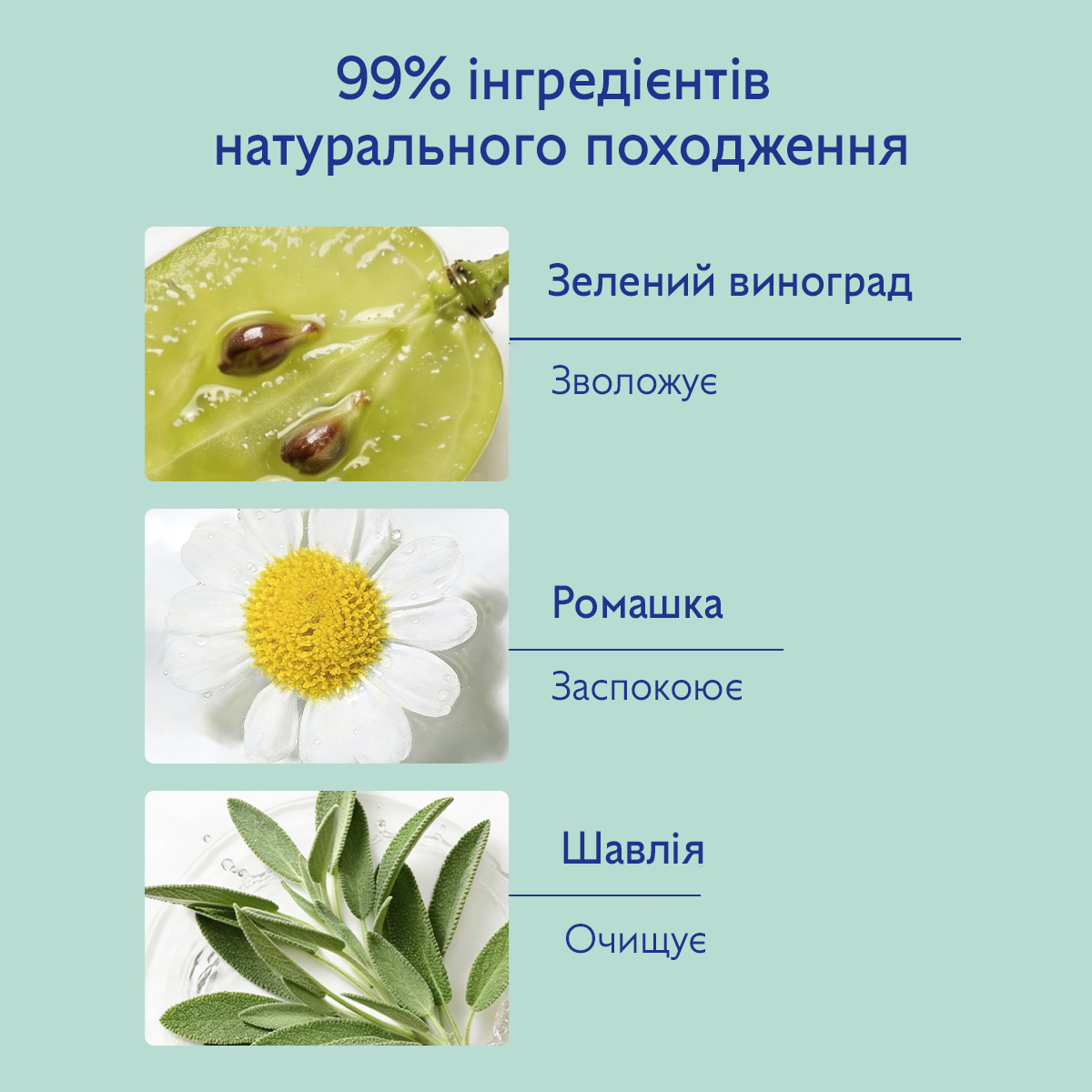 Набір Vinoclean Подвійна піна