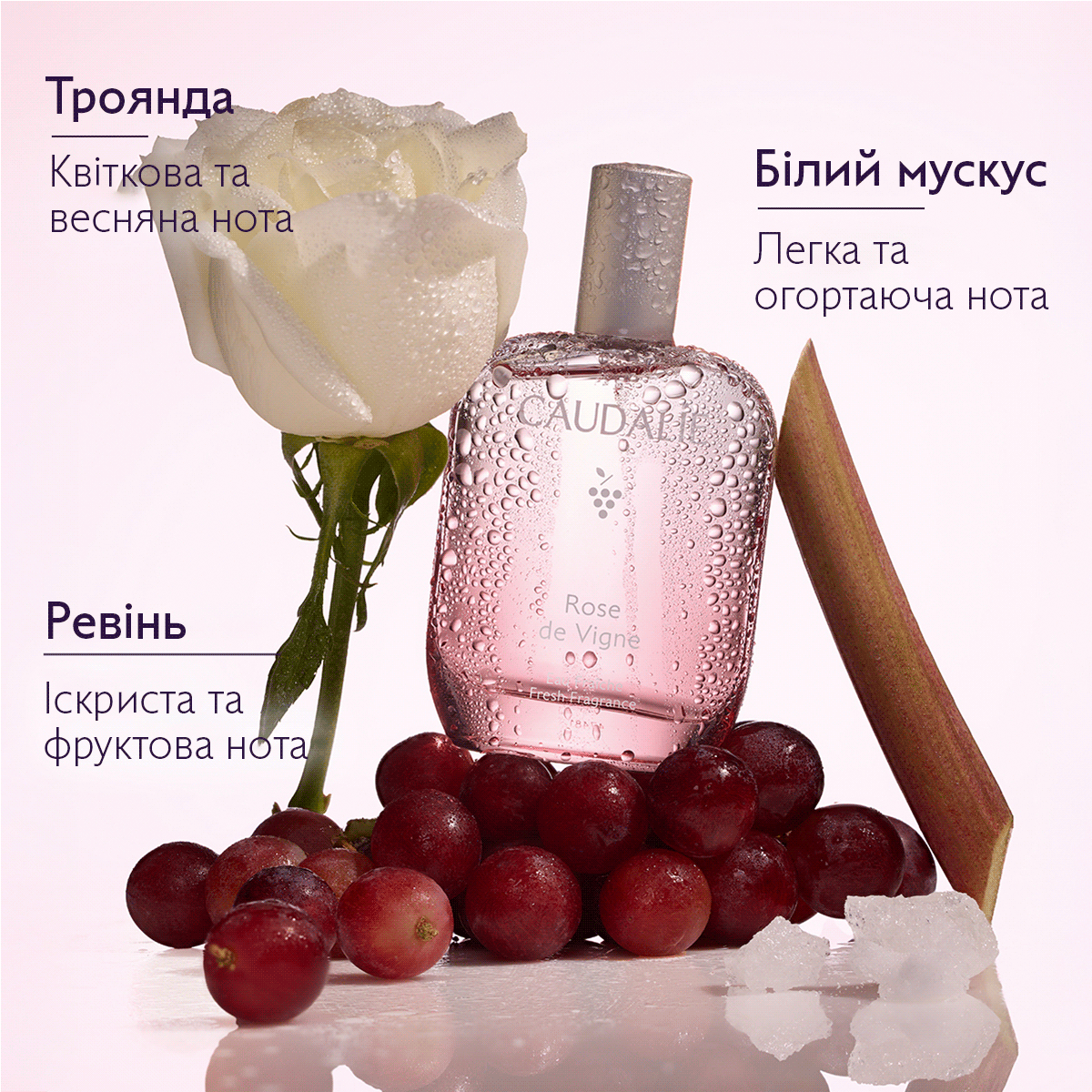 Освіжаюча парфумована вода Rose des Vignes